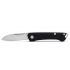 Buck 250 Saunter Black Drop Point PE